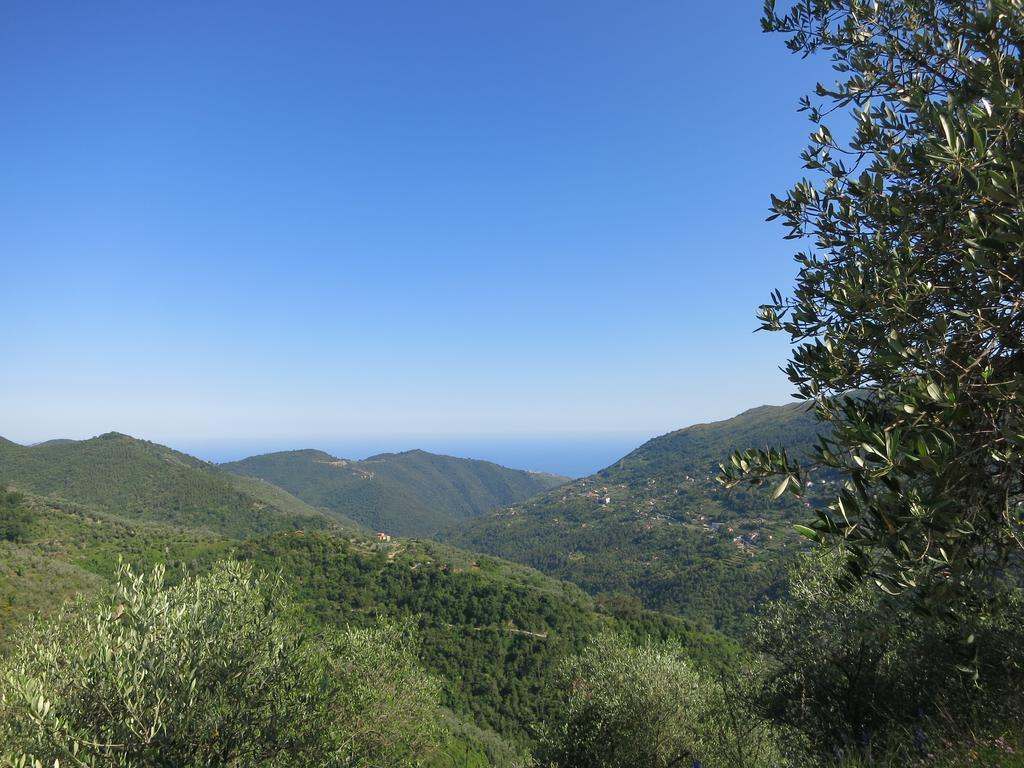 Rustic Liguria Villa Ceriana Exterior photo